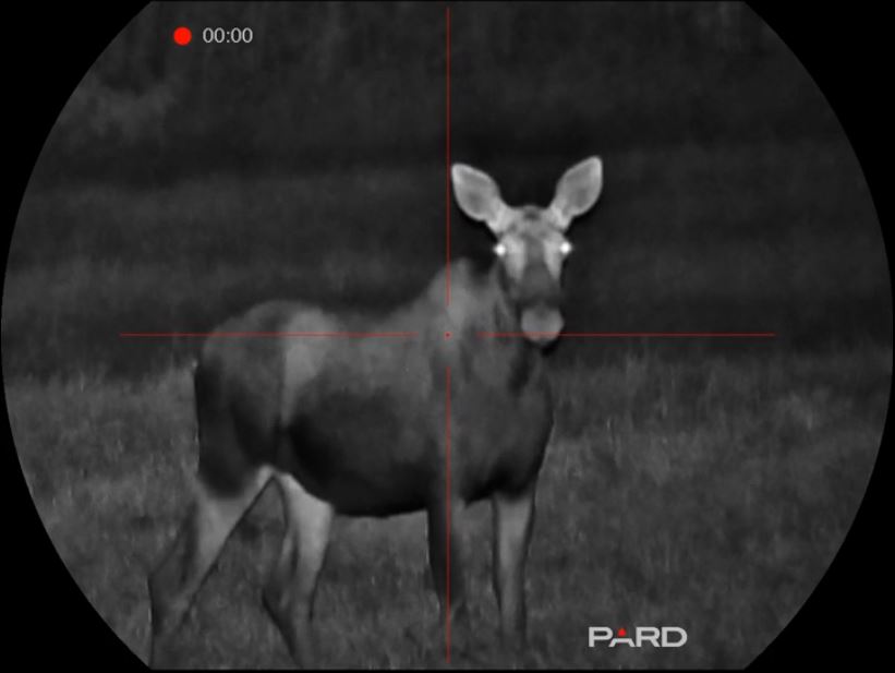 Цифровой прицел ночного видения Pard Night Stalker 4K eX NS4E-70 (850/940) — изображение 3