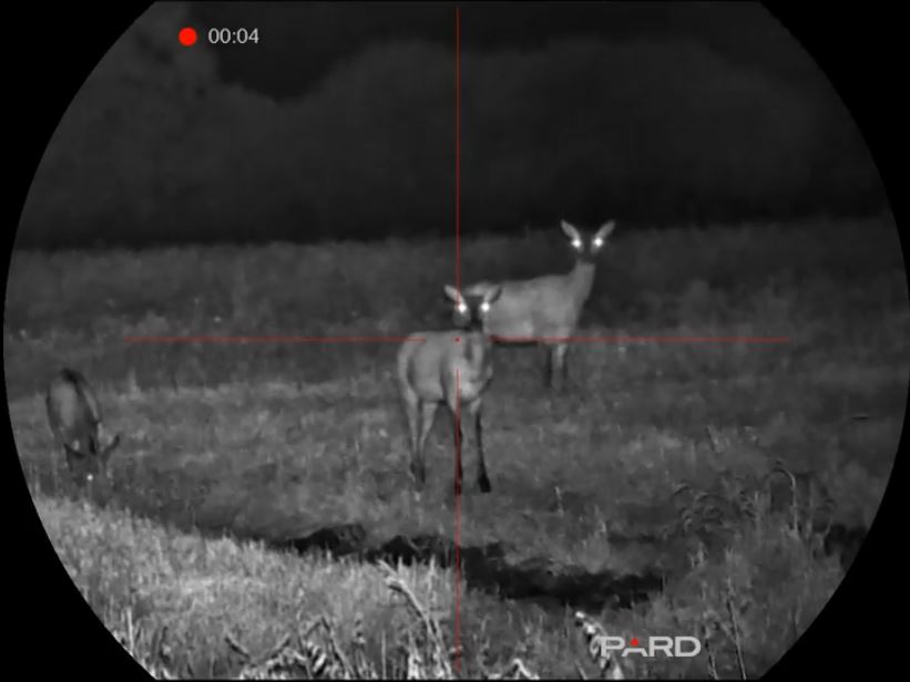 Цифровой прицел ночного видения Pard Night Stalker 4K eX NS4E-70 (850/940) — изображение 5