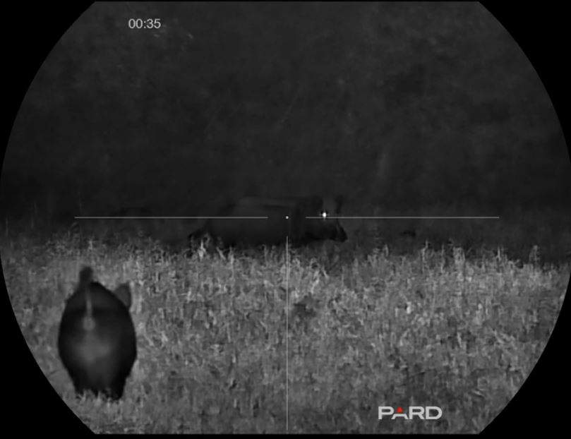 Цифровой прицел ночного видения Pard Night Stalker 4K eX NS4E-70 (850/940) — изображение 7