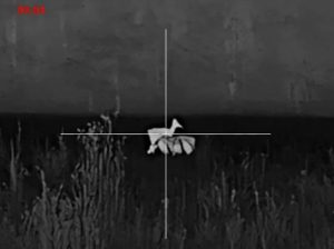 Тепловизионный прицел Pard Pantera 384 Mini PA3M-35/LRF