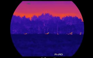 Тепловизионный монокуляр Pard Leopard 640 eX LE6E-35/LRF