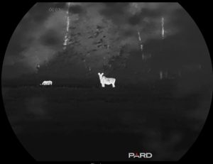 Тепловизионный монокуляр Pard Leopard 640 eX LE6E-50/LRF