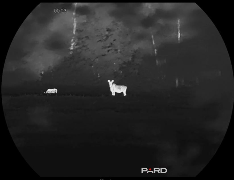 Тепловизионный монокуляр Pard Leopard 640 eX LE6E-50/LRF — изображение 5