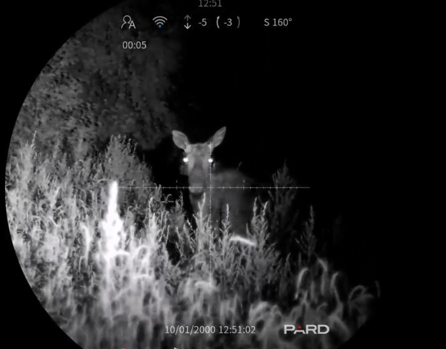 Цифровой прицел ночного видения Pard Night Stalker 4K 2.0 NS42-70/LRF + IR2 — изображение 7